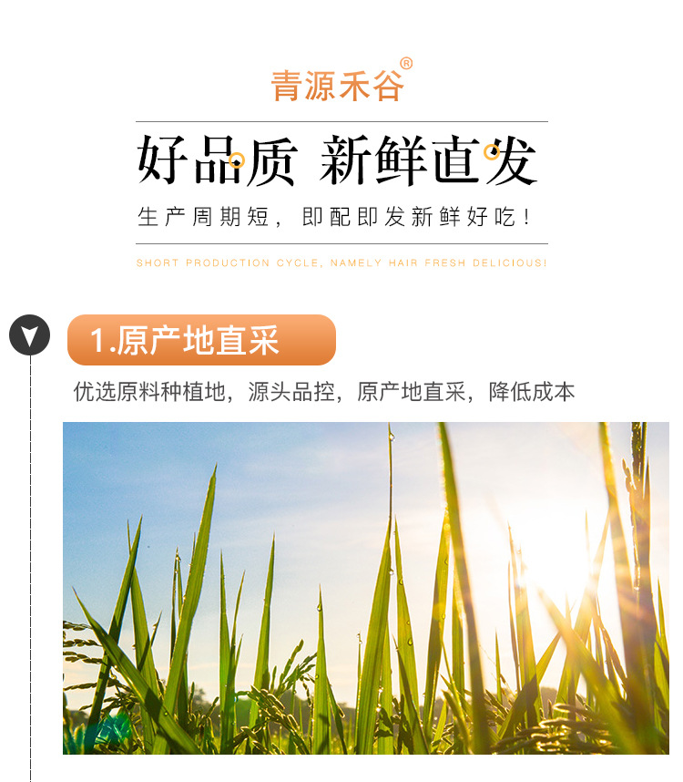 燕麦米_06.jpg