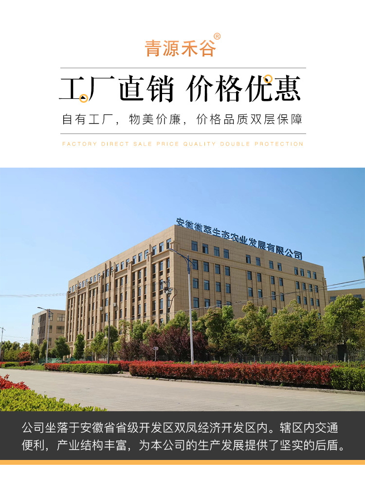 燕麦米_09.jpg