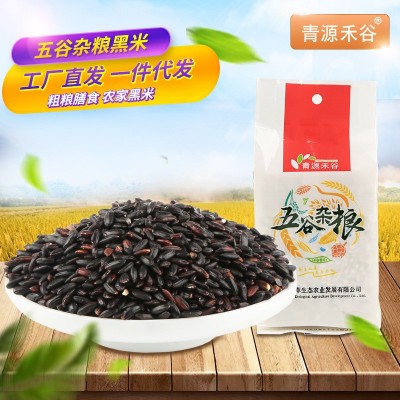 拾叶觅秋 东北黑米 黑香米黑糙米黑粥米 五谷粗杂粮 380g厂家直销