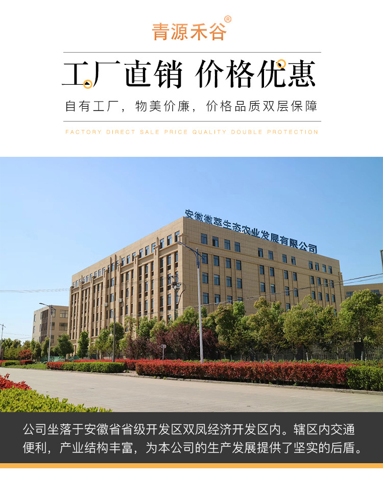 黑米_12.jpg
