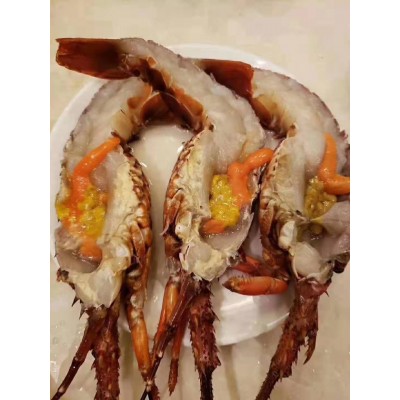 活冻小青龙 蓝龙 红龙 澳洲龙虾 古巴龙虾 餐饮食材原产地直供图5