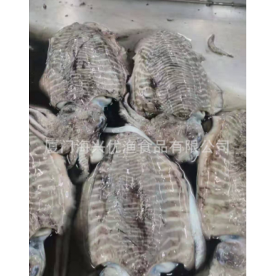 原装 船冻墨鱼 墨鱼筒 墨鱼仔 真空墨鱼仔 餐饮农贸商超海鲜批发图1