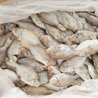 二去巴浪鱼 金线鱼 肉鲳鱼 鲷鱼 赤棕鱼食堂团膳快餐食材产地直销图4