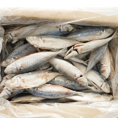 二去巴浪鱼 金线鱼 肉鲳鱼 鲷鱼 赤棕鱼食堂团膳快餐食材产地直销图5