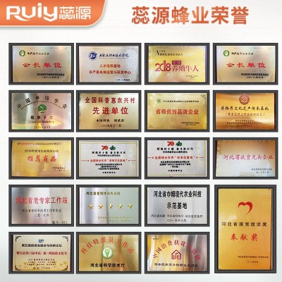 【瓶装蜂蜜】蕊源荆花蜂蜜荆条蜂蜜太行荆花天然蜂蜜图4