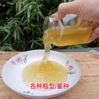 蜂蜜批发250g农家自产百花洋槐蜜特产多花蜂蜜挤压瓶装洋槐蜂蜜图2