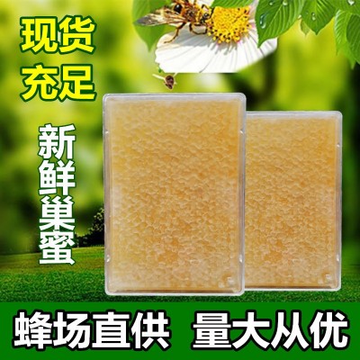 厂家批发蜂巢蜜500g盒装成熟巢蜜荆条蜜百花蜜洋槐蜜土蜂蜜蜂窝蜜图2