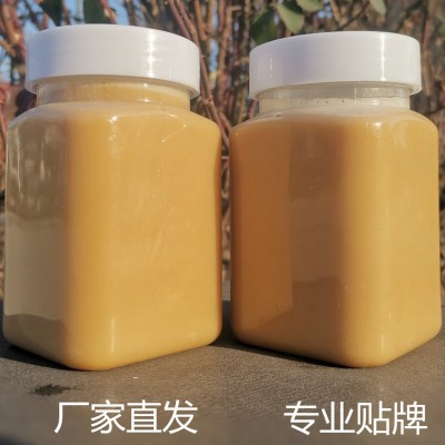 厂家批发 结晶蜂蜜小包装洋槐土蜂蜜瓶装蜂场代发百花原蜜500g/瓶图3