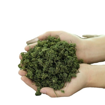 长白山人参花人参花茶 人参花蕾泡茶 东北特产新货图2