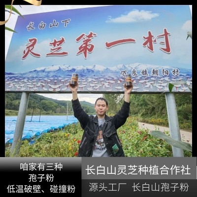 源头工厂 长白山灵芝孢子粉罐装 头道灵芝粉 东北特产袍子粉500g