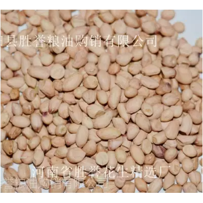 正阳花生米批发 剥皮花生仁 滚面花生 磨酱花生米吃花生米图1