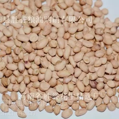 正阳花生米批发 剥皮花生仁 滚面花生 磨酱花生米吃花生米图2