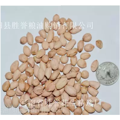 正阳花生米批发 剥皮花生仁 滚面花生 磨酱花生米吃花生米图5