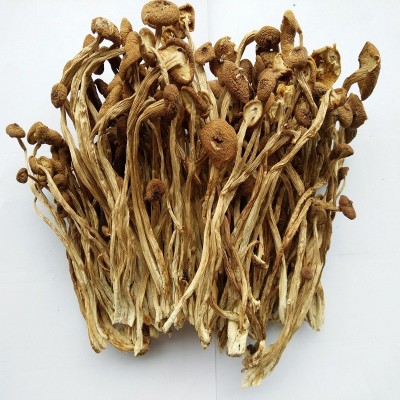 【全国包邮 】大山合茶树菇200g 江西广昌不开伞茶树菇煲汤原料图4
