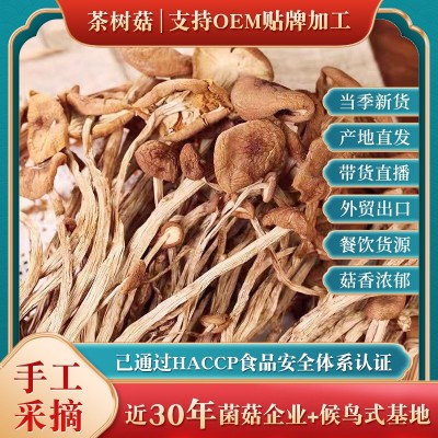 【全国包邮 】大山合茶树菇200g 江西广昌不开伞茶树菇煲汤原料