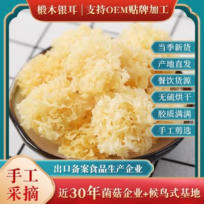 椴木银耳通江银耳 小朵银耳四川特色雪耳 代餐银耳莲子羹原料批发图2
