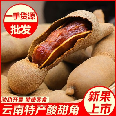 新货甜角云南特产新鲜带壳甜角罗望子孕妇零食小吃甜角