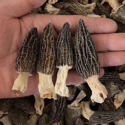 羊肚菌干货批发蘑菇散装250g足干菌汤包用头茬剪柄云南特产食用菌图4