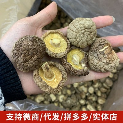 香菇香菇干货蘑菇冬菇花菇500g小香菇一件代发农产品菌菇干货批发图3