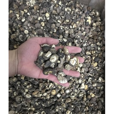 香菇香菇干货蘑菇冬菇花菇500g小香菇一件代发农产品菌菇干货批发图5