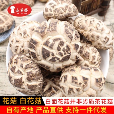 白花菇菌菇蘑菇大个头500g干货批发白花厚香菇特产代发天白花菇