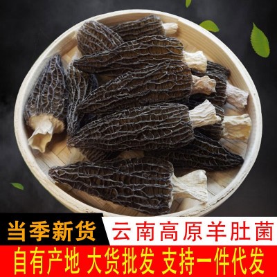 云南食用菌 羊肚菌批发 南北干货羊肚菌干货批发大量现货