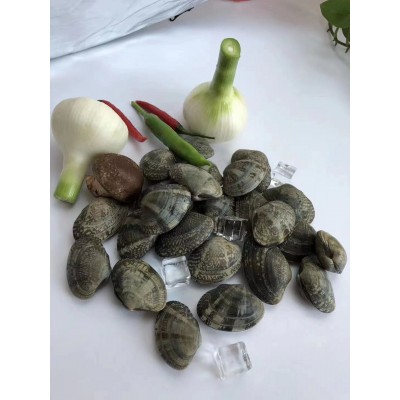 真空 杂色蛤 开袋即食 东港特产 原产地直供图6