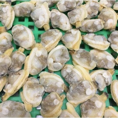 冻煮杂色蛤肉 花甲肉 花蛤肉 无沙 原味 单冻 东港原产地直供图2
