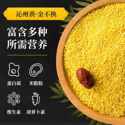 粗粮黄小米真空装500克 家庭食用有机小米五谷杂粮小米粥月子粥图2