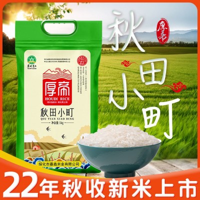 东北大米10斤 黑龙江秋收新米珍珠米厚帝秋田小町 米厂直批可代发