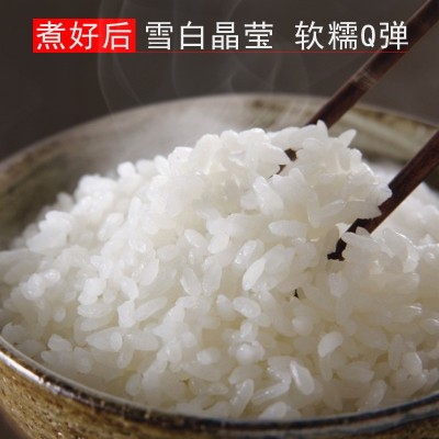 东北大米10斤 食堂自用长粒香珍珠米色选白米 厂家直批寒地鲜白米图3
