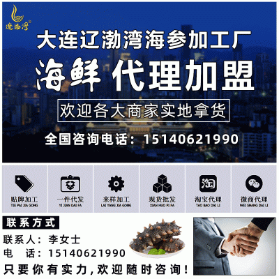 辽渤湾大连纯淡干海参干货速发辽刺参工厂批发非即食礼盒图2