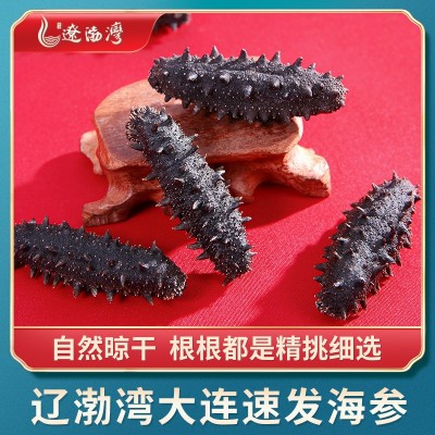 辽渤湾大连纯淡干海参干货速发辽刺参工厂批发非即食礼盒