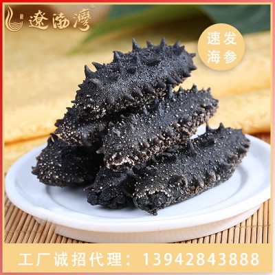 辽渤湾大连纯淡干海参干货速发辽刺参工厂批发非即食礼盒图4
