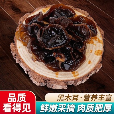 酒店餐厅黑木耳小碗耳食用菌木耳干货肉厚无根干货黑木耳批发图5