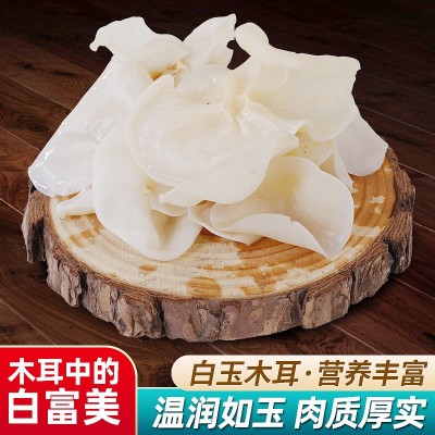 白玉木耳干货酒店小碗菜木耳干净无根肉质厚实食用玉木耳菌批发图5