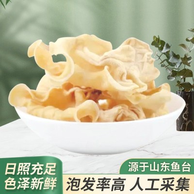 加工定制新鲜肉厚白木耳商用螺蛳粉日式拉面配料2kg整箱白木耳