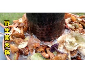 山里找点野生菌来煮火锅，各种各样满满煮一锅，现找现煮很过瘾