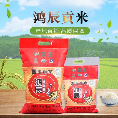 鸿辰贡米大米批发自家农家大米东北大米香米代加工5kg10kg