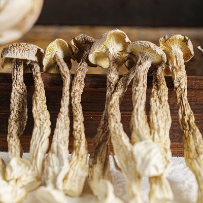 【一件代发】鹿茸菌干货250g 鹿茸菇新鲜脆脆菇干姑产煲汤蘑菇图3
