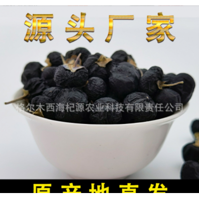 青海黑枸杞大果草原 沙漠戈壁滩 昆仑山里的黑枸杞花青素高规格全
