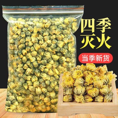 胎菊散装批发胎白菊王菊花茶散装杭白菊散装花茶瓶装罐装菊花茶叶