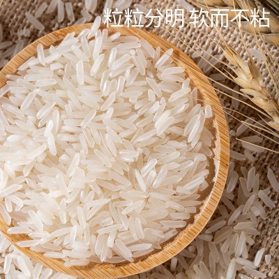 正宗广东农家米50斤煲仔饭专用香粘米晚稻长粒香大米新米25kg批发图4