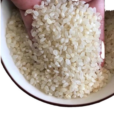 广东碎米酿酒珍珠米一手 圆粒鸡米珍珠饲料米白净酒米色选米25kg图4