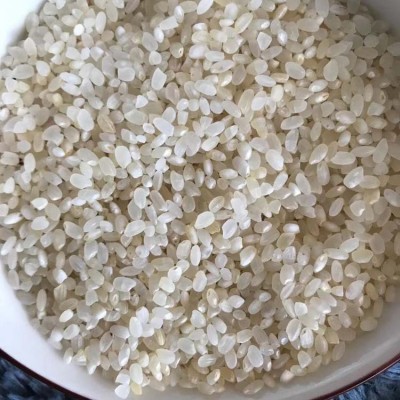 广东碎米酿酒珍珠米一手 圆粒鸡米珍珠饲料米白净酒米色选米25kg图3