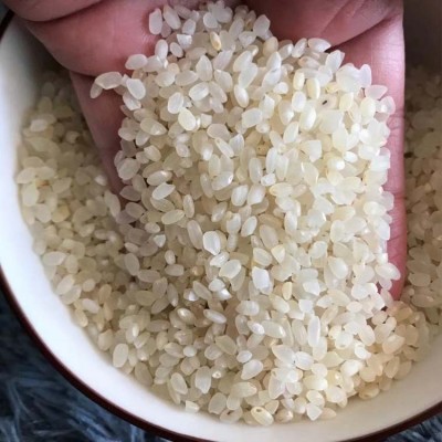 广东碎米酿酒珍珠米一手 圆粒鸡米珍珠饲料米白净酒米色选米25kg图2