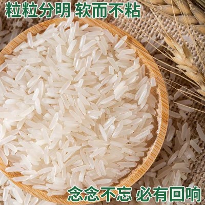 籼米特长猫牙米5kg大米批发10kg丝苗米50斤米长粒新米可代发包邮图2