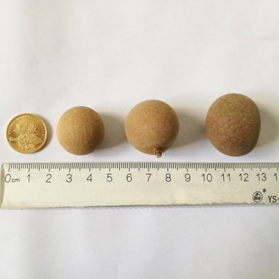 福建莆田特产桂圆包邮500g 桂圆干6A食品批发 龙眼干桂圆直销图2