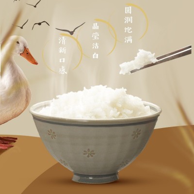 粮心一号台山丝苗米2.5kg 大米5斤 优质国产大米礼品装2.5公斤图3