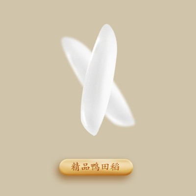粮心一号台山丝苗米2.5kg 大米5斤 优质国产大米礼品装2.5公斤图4